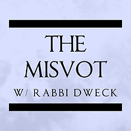 The Misvot